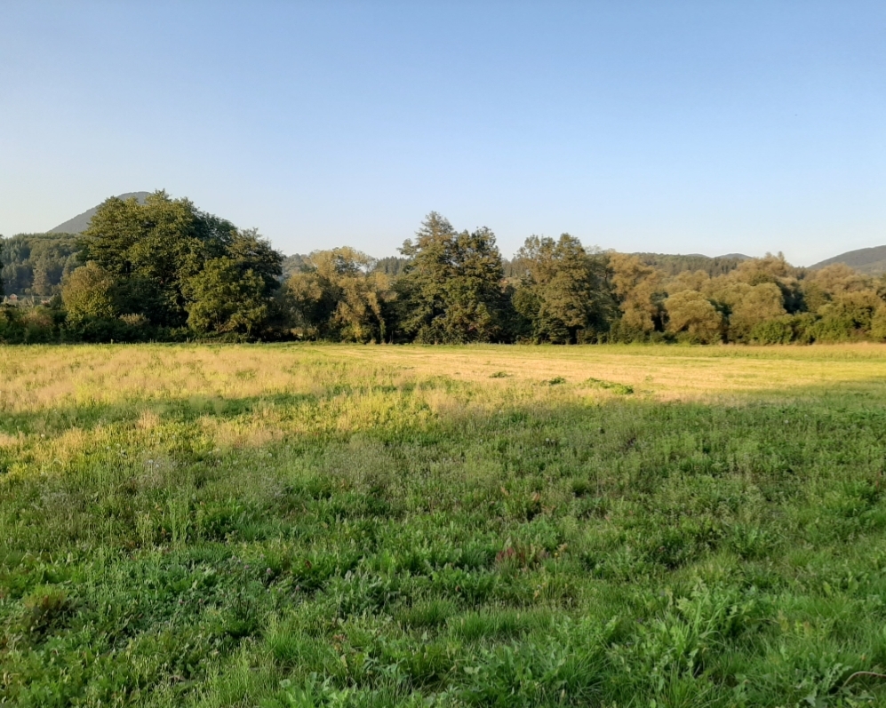 Pozemky na výstavbu rodinných domov - Zakvášov, Pov. Bystrica