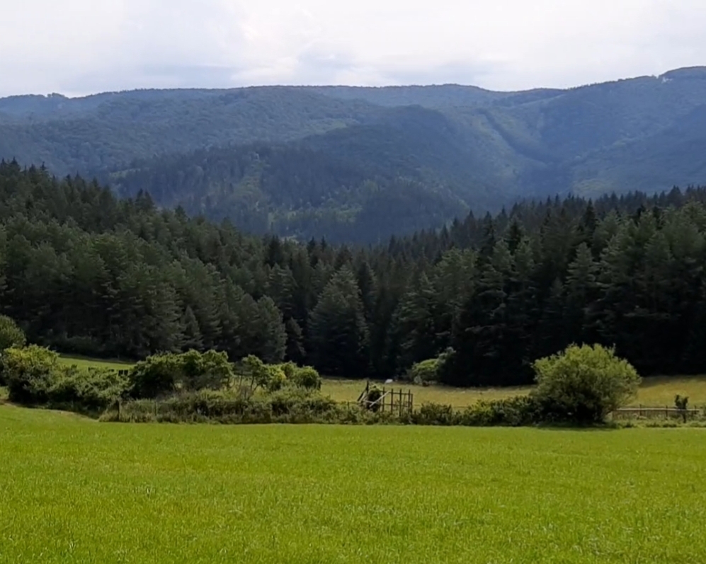 Rozľahlý pozemok v Domaniži, okres Pov. Bystrica